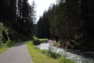 Radweg an der Trisanna, Blick flussaufwärts