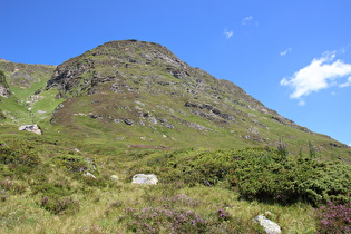 Blick nach Norden oberhalb der montanen Baumgrenze