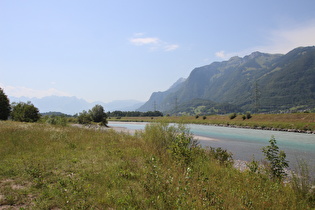 … Blick flussaufwärts zur Illmündung „Illspitz“ …