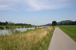 etwas weiter, Blick flussabwärts zum Kummenberg …