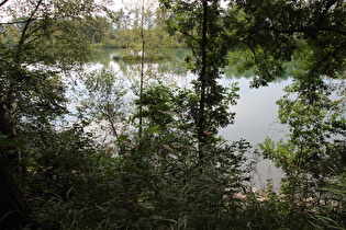 Alter Rhein zwischen Mäder und Lustenau