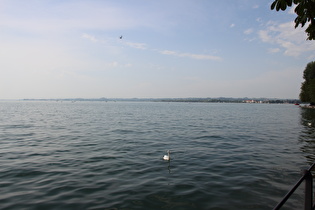 … und Blick auf Lindau-Insel, Lindau und Lochau