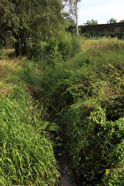 Blick von der Brücke flussaufwärts …