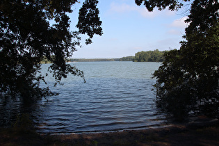 Altwarmbüchener See, Südwestufer, Blick nach Nordosten