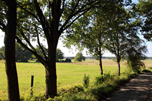 am Nordrand von Isernhagen KB, Blick nach Norden