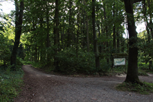 Benther Berg, Nordhang, erster Anstieg der Tour