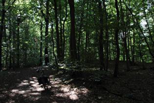 erster Sattelpunkt der Tour auf dem Benther Berg