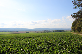 Gehrdener Berg, Westhang, Blick nach Westen zum Deister …