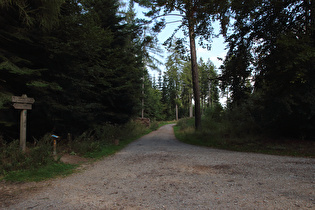 Feldberg, …