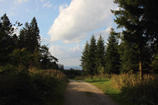 Müllers Höh, Blick nach Norden