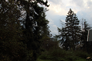 auf dem Bröhn, von Südwesten aufziehendes Gewitter