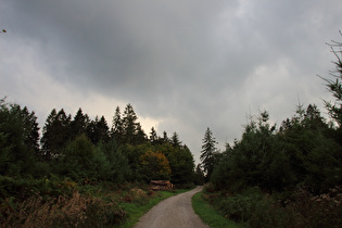 Blick zur Hohen Warte und das aufziehende Gewitter