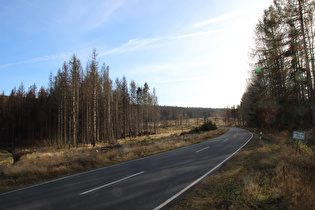 L504, Querung des Dammgrabens, Blick bergauf …