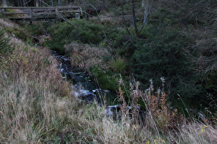 die Nabe, Blick flussaufwärts …