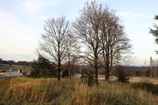 B4 auf knapp unterhalb 700 m ü.NHN, Blick nach Norden …