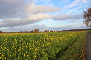 … Blick auf Lenthe, …