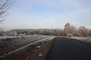 auf dem Heisterberg, Blick zum Ahlemer Holz …