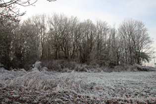 … und Blick zum Gipfel des Heisterberges