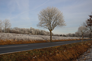 Kollrotshöhe, Ostrampe, Blick zum Heisterberg …