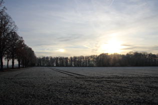 zwischen Großem Holz und Northen, Blick nach Süden