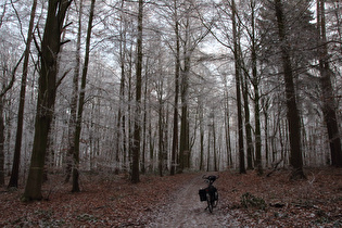 „Dach der Tour“ auf dem Benther Berg