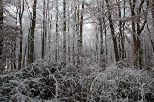 … und Blick nach Süden auf den Raureif