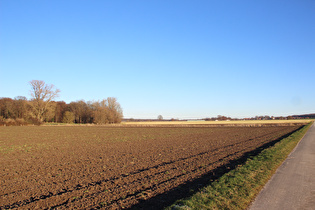 südlich vom Großen Holz, Blick auf Lenthe …