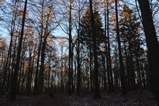 „Dach der Tour“ auf dem Benther Berg