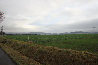 zwischen Stadtoldendorf und Deensen, Blick auf die Homburger Berge, …