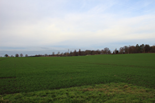 zwischen Hannover und Velber, Blick zum Heisterberg …