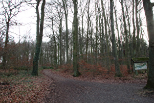 Benther Berg, Nordhang – der 1. Anstieg des Jahres