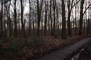 Kammweg, Blick nach Süden, …