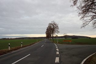 zwischen Ditterke und Großem Holz, Blick zum Benther Berg