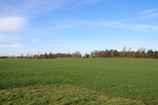 Blick zum Heisterberg