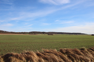 westlich des Gehrdener Berges, Blick zum Suerser Berg …