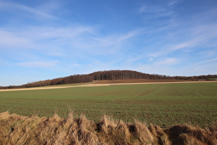 … und Blick zum Burgberg