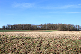 … und Blick nach Norden zum Stemmer Berg