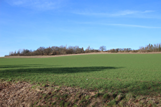 zwischen Göxe und Stemmen, Blick zum Gipfel des Stemmer Berges