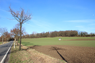 Nordrand von Stemmen, Blick nach Norden …