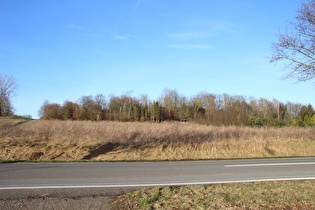 Kollrothshöhe, Ostrampe, Blick Heisterberg