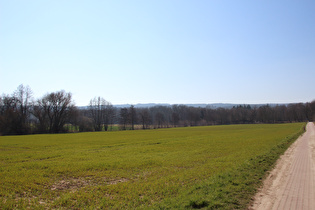 westlich von Wennigsen, Blick zum Deister