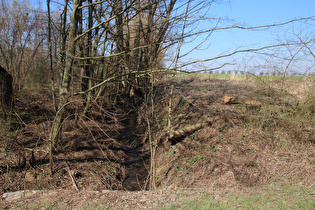 der Wennigser Mühlbach, Blick flussaufwärts …