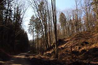 weiter oben, Blick bergauf …