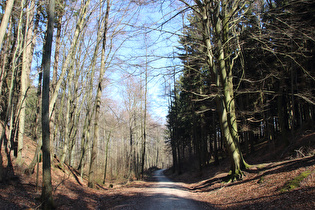 … und Blick bergab