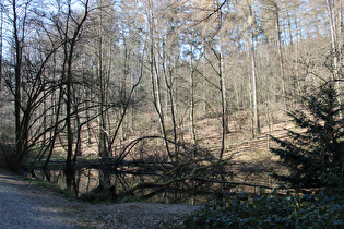 Teich im Verlauf des Bruchbachs unterhalb des Blanketeichs