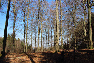 bei Feldberg, Blick nach Nordosten