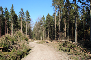 … und Blick bergab