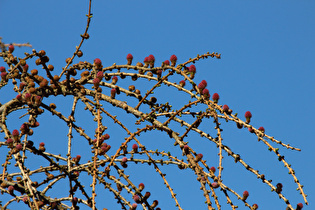 … versucht es noch ein letztes Mal