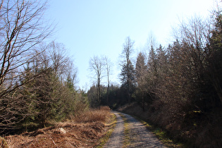 unterhalb der Hirschköpfe, Blick bergauf …