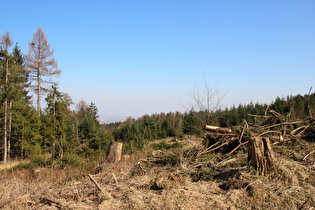 unterhalb Müllers Höh, Blick nach Osten